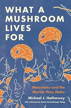 portada What a Mushroom Lives For: Matsutake and the Worlds They Make (en Inglés)