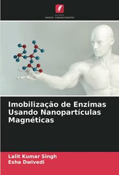 portada Imobilização de Enzimas Usando Nanopartículas Magnéticas (en Portugués)
