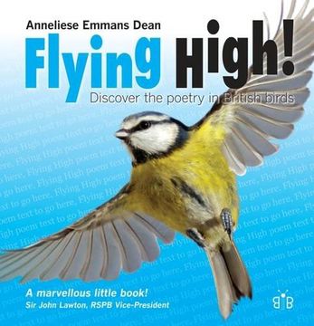 portada Flying High: Discover the Poetry in British Birds