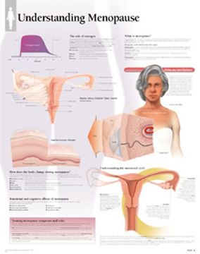 portada understanding menopause chart: wall chart (en Inglés)