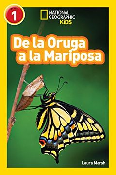 portada National Geographic Readers: De la Oruga a la Mariposa (Caterpillar to Butterfly) (Libros de National Geographic Para Ninos)