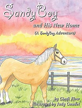 portada Sandyboy and his new Home (a Sandyboy Adventure) (in English)