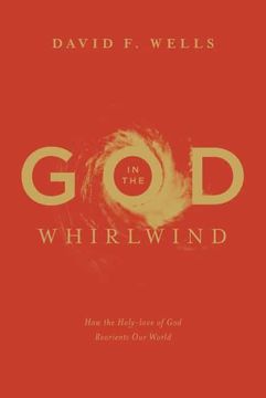portada God in the Whirlwind: How the Holy-Love of god Reorients our World 