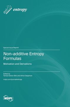portada Non-additive Entropy Formulas: Motivation and Derivations (en Inglés)