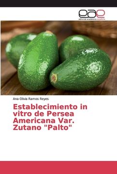 portada Establecimiento in vitro de Persea Americana Var. Zutano "Palto" (Paperback) (in Spanish)