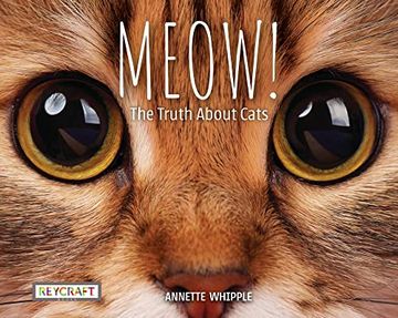 portada Meow! The Truth About Cats | Full of fun Facts, Photographs, Illustrations, & all Your Questions Answered | Reading age 7-10 | Grade Level 2-3 | Nonfiction Science & Nature | Reycraft Books (en Inglés)