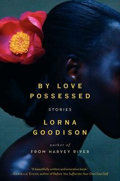 portada by love possessed: stories (en Inglés)