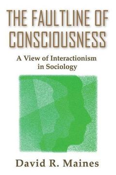 portada The Faultline of Consciousness: A View of Interactionism in Sociology (Sociological Imagination & Structural Change Series) (in English)