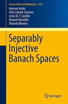 portada Separably Injective Banach Spaces (Lecture Notes in Mathematics) (in English)