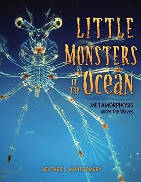 portada Little Monsters of the Ocean: Metamorphosis Under the Waves (en Inglés)