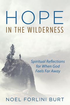 portada Hope in the Wilderness (en Inglés)