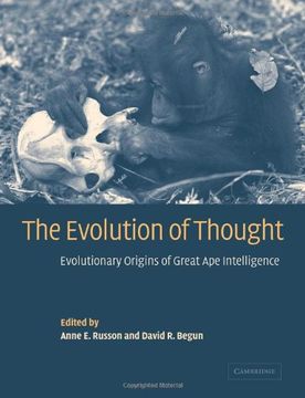 portada The Evolution of Thought: Evolutionary Origins of Great ape Intelligence (en Inglés)