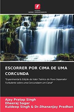 portada Escorrer por Cima de uma Corcunda: "Experimental & Edição de Valor Teórico do Fluxo Separador Turbulento Sobre uma Corcundaem um Canal" (in Portuguese)