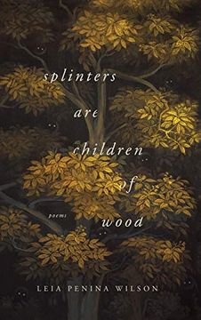 portada Splinters are Children of Wood (Ernest Sandeen Prize in Poetry) (en Inglés)