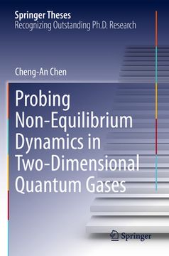 portada Probing Non-Equilibrium Dynamics in Two-Dimensional Quantum Gases (en Inglés)