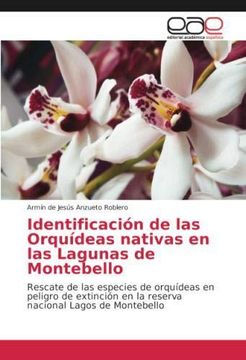 portada Identificación de las Orquídeas nativas en las Lagunas de Montebello: Rescate de las especies de orquídeas en peligro de extinción en la reserva nacional Lagos de Montebello (Paperback)