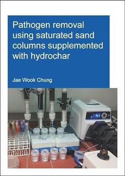 portada Pathogen Removal Using Saturated Sand Columns Supplemented with Hydrochar (in English)