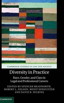 portada Diversity in Practice (Cambridge Studies in law and Society) (en Inglés)