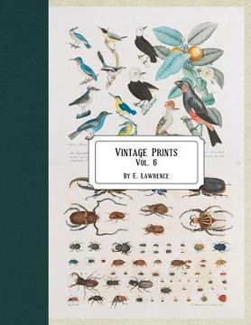 portada Vintage Prints: Vol. 6 (in English)