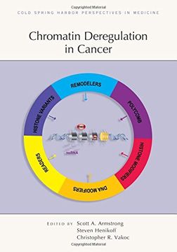 portada Chromatin Deregulation in Cancer (in English)