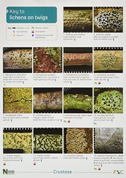 portada A key to Lichens on Twigs (Occasional Publications s. ) (in English)