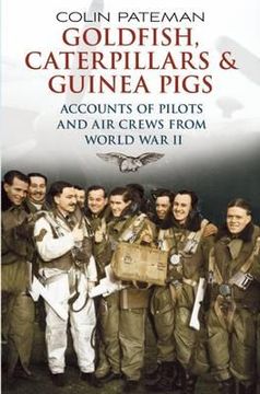 portada goldfish caterpillars & guinea pigs: accounts of pilots and air crews from world war ii (en Inglés)