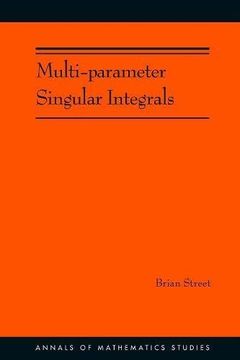 portada Multi-Parameter Singular Integrals. (Am-189), Volume i (Annals of Mathematics Studies) (en Inglés)