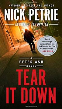 portada Tear it Down (a Peter ash Novel) (in English)