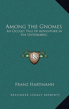 portada among the gnomes: an occult tale of adventure in the untersberg (en Inglés)