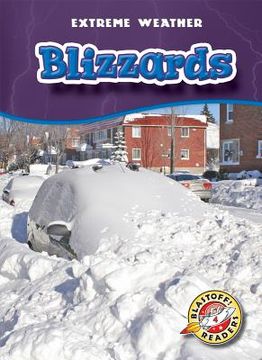 portada Blizzards (en Inglés)