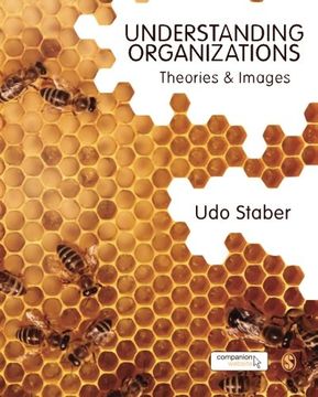 portada Understanding Organizations: Theories and Images (en Inglés)