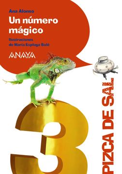 portada Un Número Mágico (Literatura Infantil (6-11 Años) - Pizca de Sal) (in Spanish)