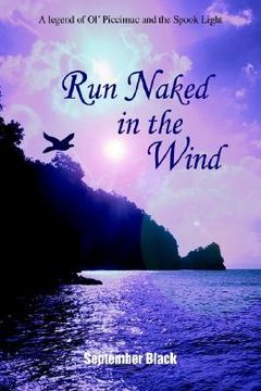 portada run naked in the wind: a legend of ol' piccimuc and the spook light (en Inglés)