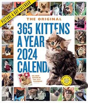 portada 365 Kittens-A-Year Picture-A-Day Wall Calendar 2024: Absolutely Spilling Over With Kittens (in English)