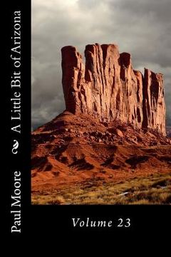 portada A Little Bit of Arizona: Volume 23 (en Inglés)