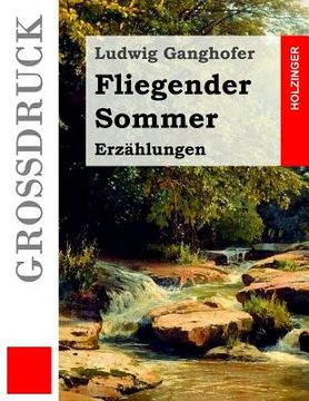portada Fliegender Sommer (Großdruck): Erzählungen (in German)