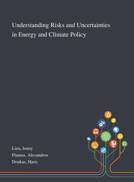 portada Understanding Risks and Uncertainties in Energy and Climate Policy