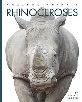 portada Rhinoceroses (Amazing Animals) (in English)