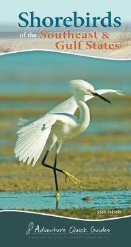 portada Shorebirds of the Southeast & Gulf States (Adventure Quick Guides) (en Inglés)