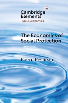 portada The Economics of Social Protection (Elements in Public Economics) (en Inglés)