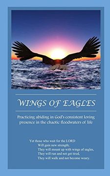 portada Wings of Eagles: Practicing abiding in God's consistent loving presence in the chaotic floodwaters of life