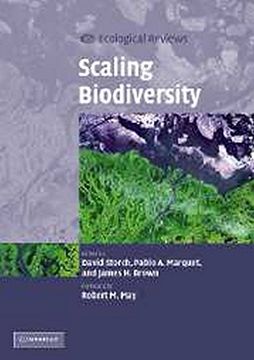 portada Scaling Biodiversity Paperback (Ecological Reviews) (in English)