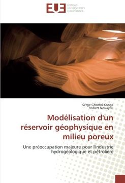 portada Modélisation d'un réservoir géophysique en milieu poreux: Une préoccupation majeure pour l'industrie hydrogéologique et pétrolière (French Edition)