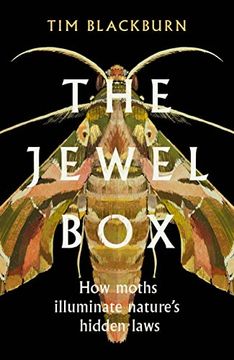 portada The Jewel Box: How Moths Illuminate Nature’S Hidden Rules (en Inglés)