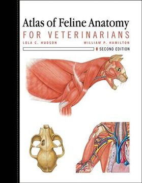 portada Atlas of Feline Anatomy for Veterinarians (en Inglés)