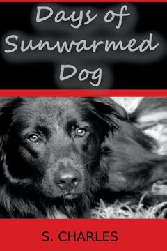 portada Days of Sunwarmed Dog: Poems about Jack (in English)