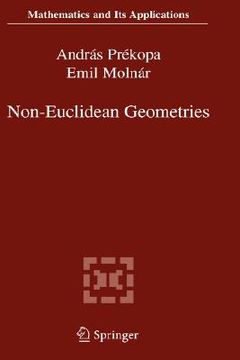 portada non-euclidean geometries: j nos bolyai memorial volume (en Inglés)