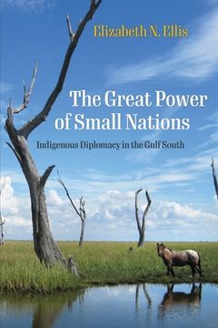 portada The Great Power of Small Nations: Indigenous Diplomacy in the Gulf South (Early American Studies) (in English)