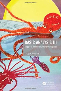 portada Basic Analysis Iii: Mappings on Infinite Dimensional Spaces (in English)