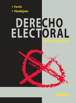 portada DERECHO ELECTORAL. -VISION PRACTICA-